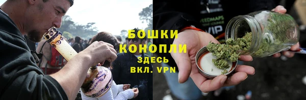 индика Карталы