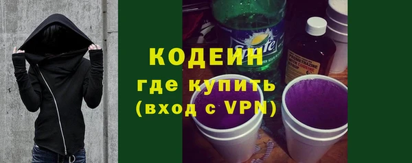 индика Карпинск