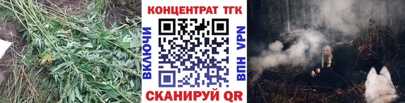 купить закладку  ссылка на мегу ONION  ТГК вейп с тгк  Свободный 