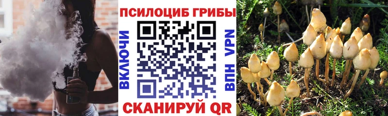 это Telegram  Свободный  Галлюциногенные грибы Cubensis  закладки 